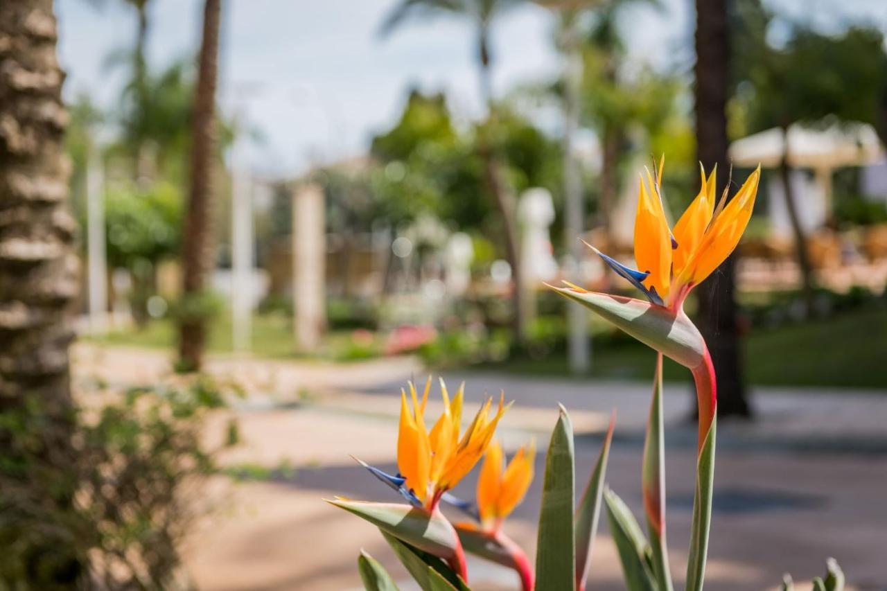 Alanda Marbella Hotel Exterior photo